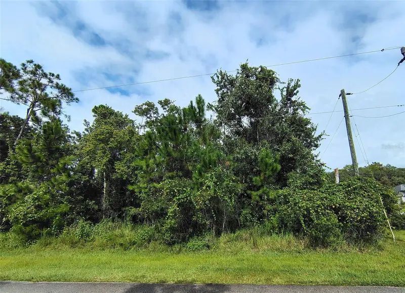 1 Kalmar Pl, FL