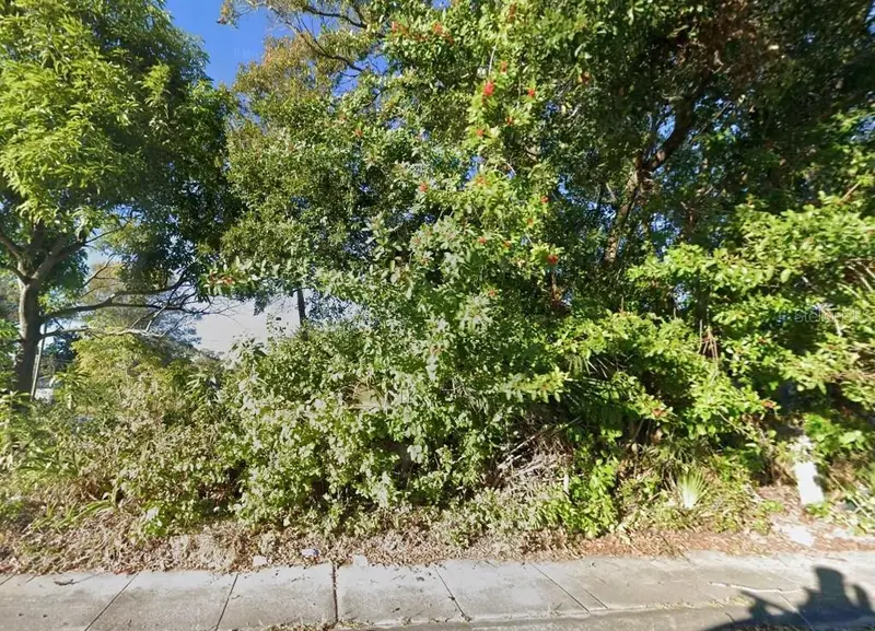 15th Ave S, FL