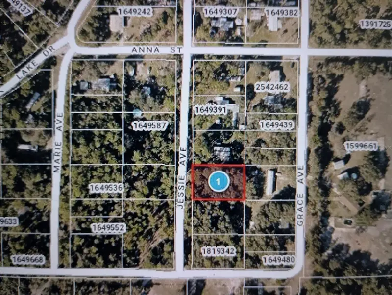 Jessie Ave, FL
