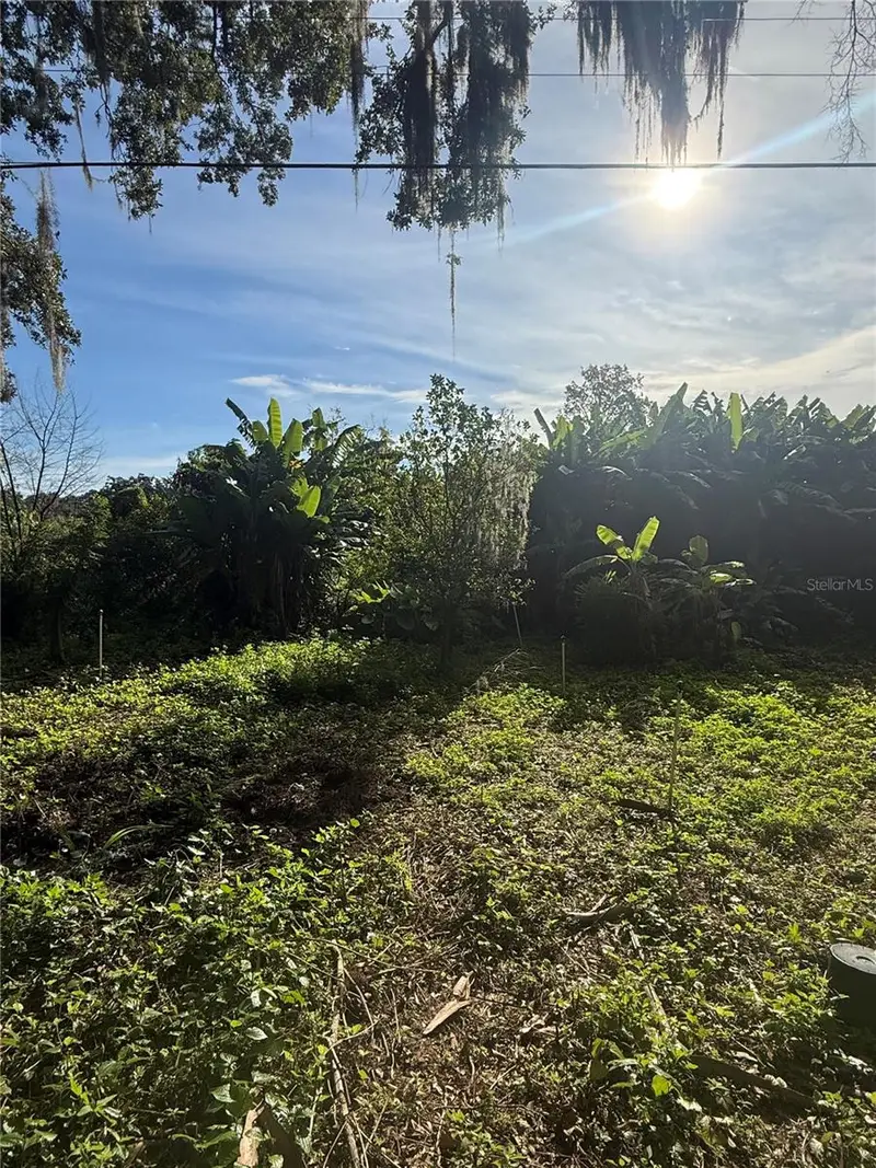 Willow Ave, FL