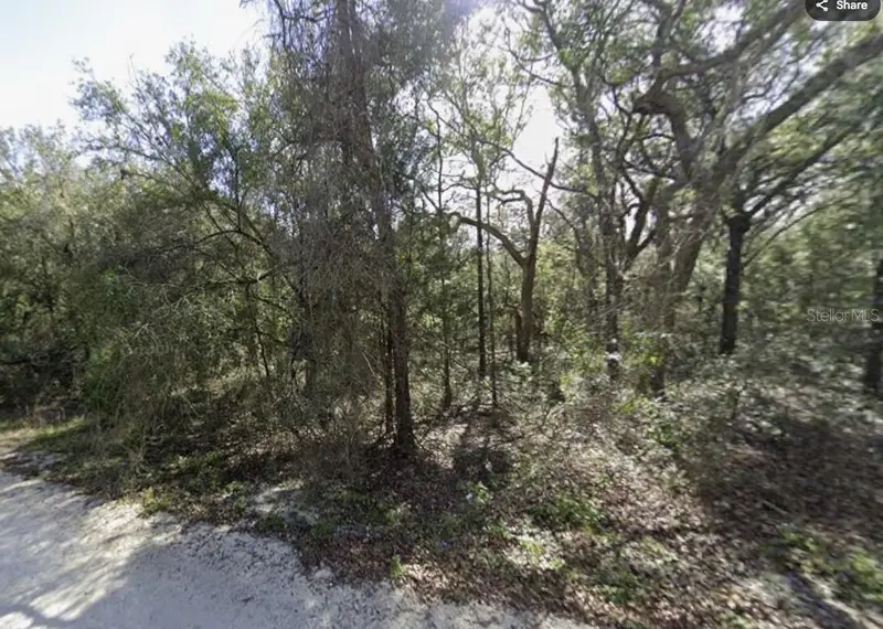34086 Arrowrock St, FL