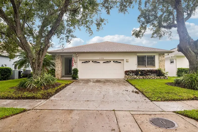 1175 San Carlos Ave Ne, FL