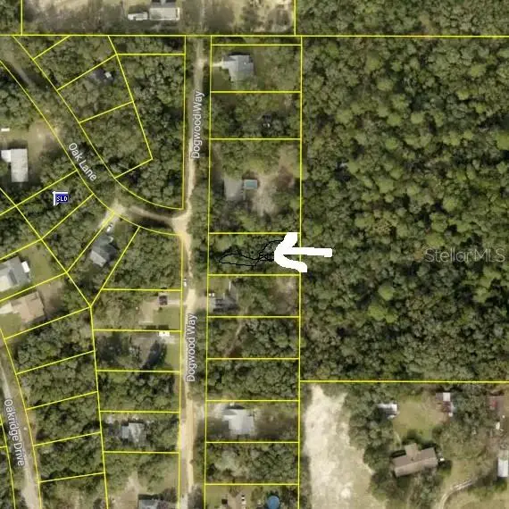 Dogwood Way, FL