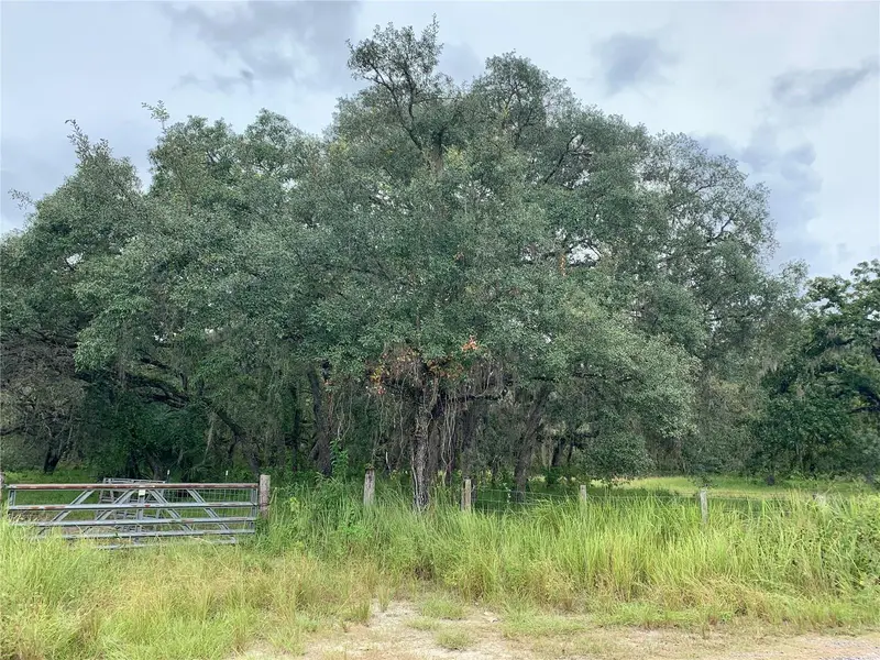 10425 E Moccasin Slough Rd, FL