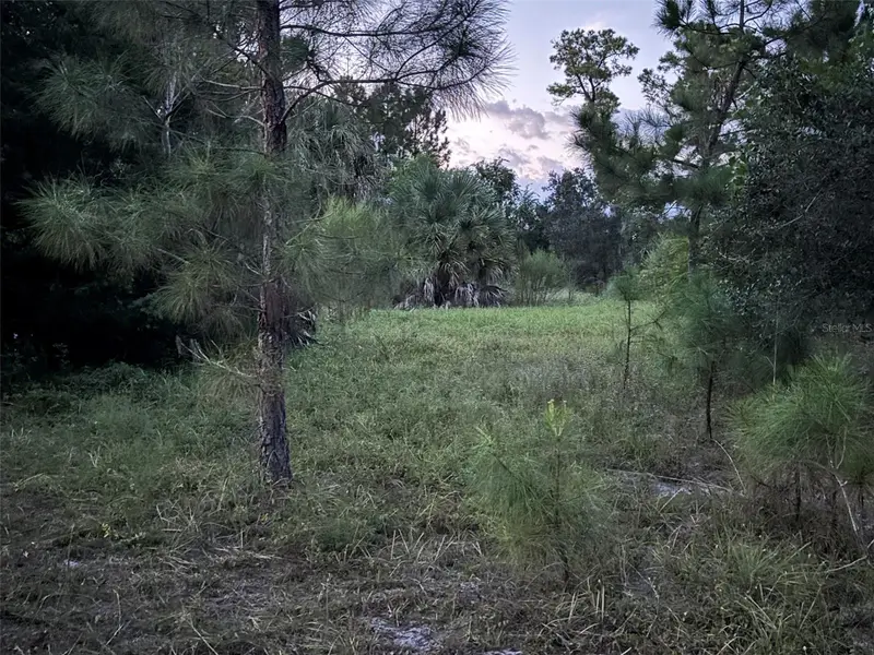 30735-30745 Devon Ct, FL