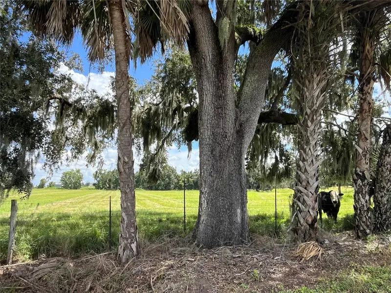 Johns Rd, FL