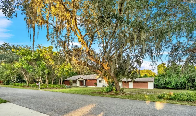 245 Agua Vista St, FL