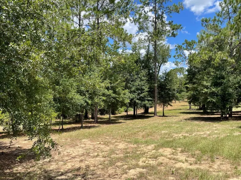 Calhoun Rd, FL