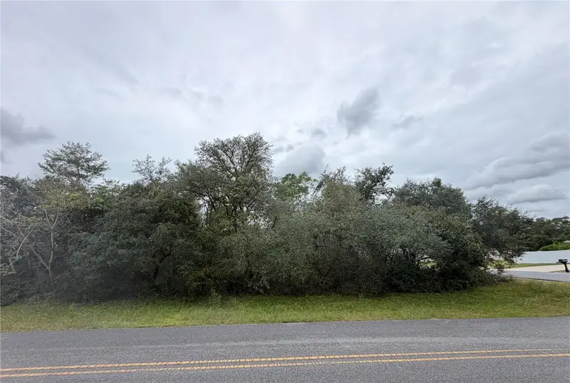 Marion Oaks Golf Way And 166th Place Rd, FL