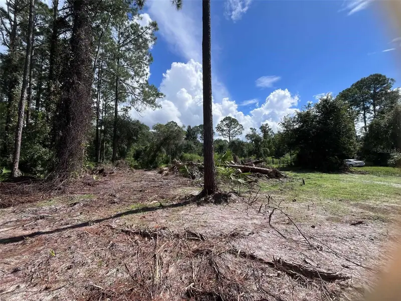 334 Redwood Blvd, FL