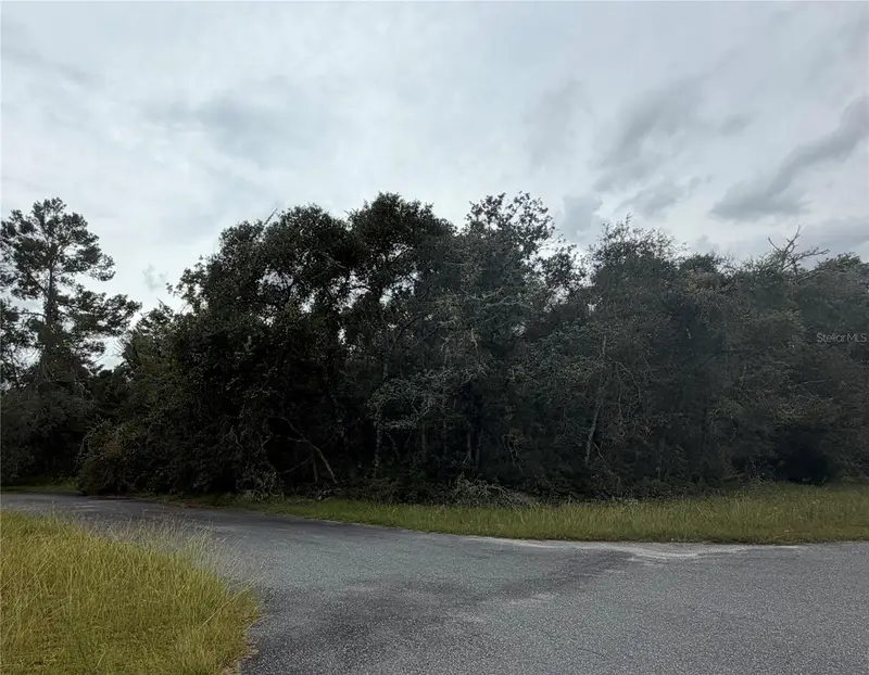 Marion Oaks Gold Way And 38th Ct, FL