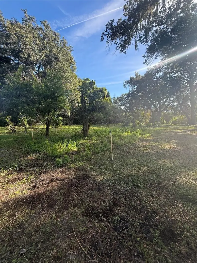 Orange Ave, FL