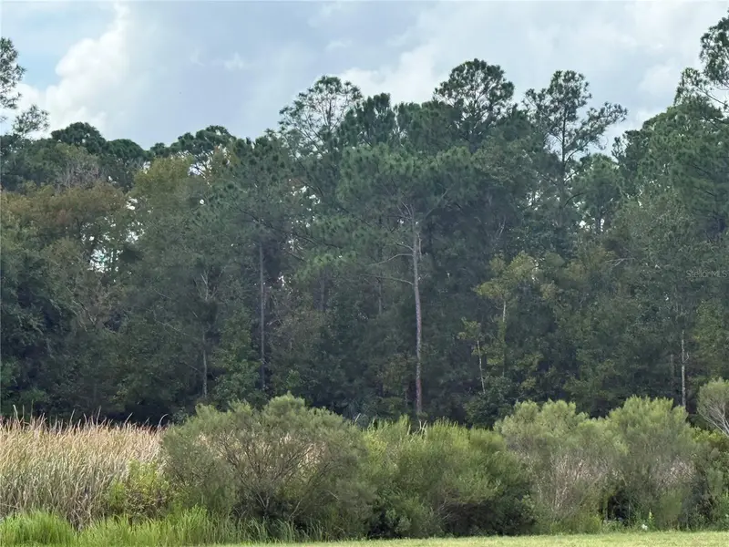 10855 W Homosassa Trl, FL