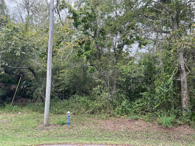 12 Pebbleton Pl, FL