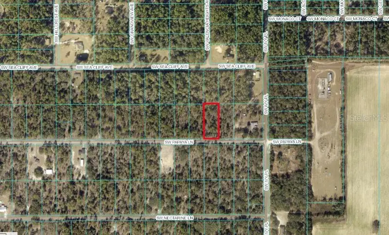 Tbd Sw Papaya Ln, FL