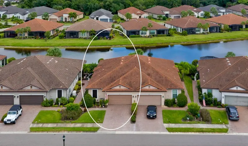 Palmetto listing