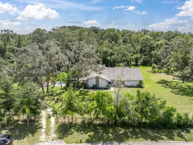 11211 Pine Forest Dr, FL