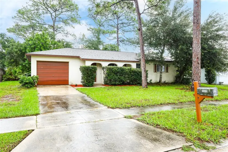 2539 Dobbin Dr, FL