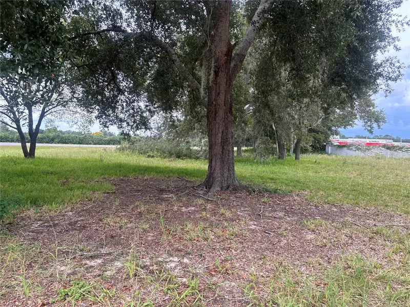 State Road 19, FL