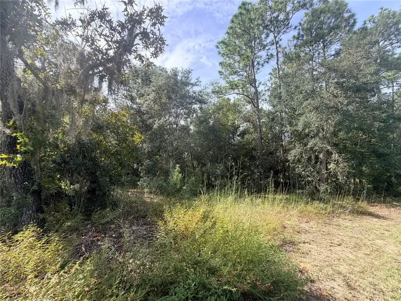 5066 E Anna Jo Dr, FL