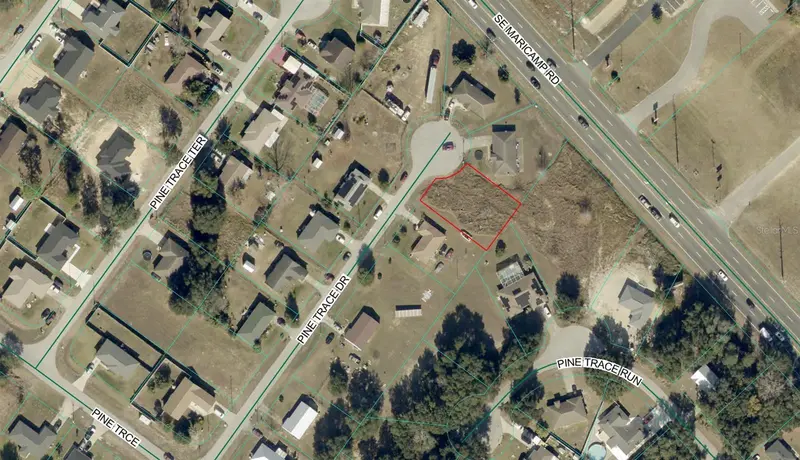 00 Pine Trace Dr, FL