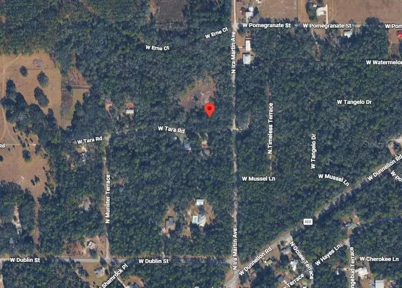 8888 N Ira Martin Ave, FL