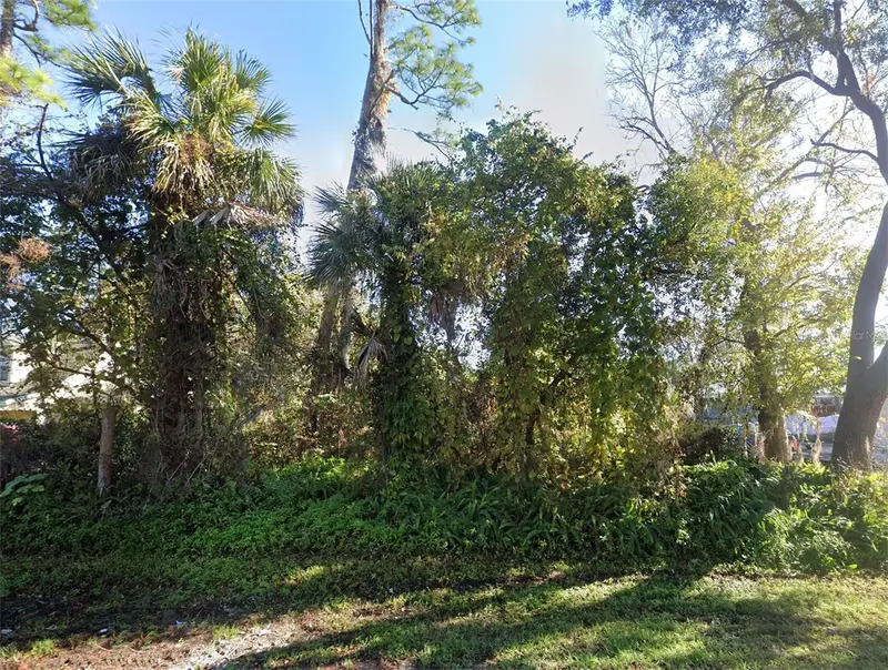 2311 Unity Tree Dr, FL