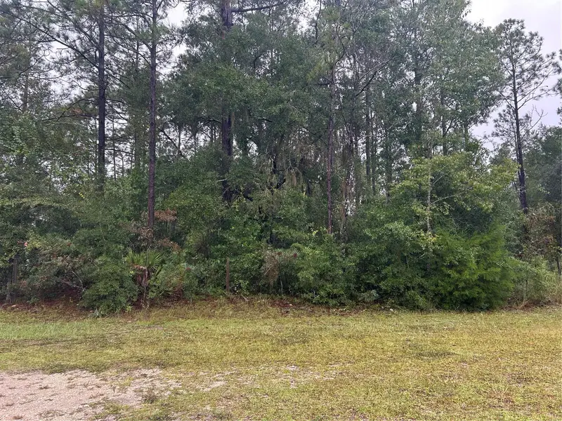 Tbd Ne 77th Ct, FL