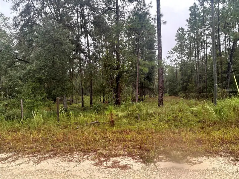 Tbd Ne 111th Ln, FL