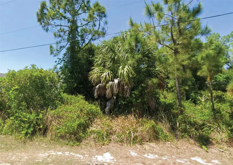 Cillette Ave, FL