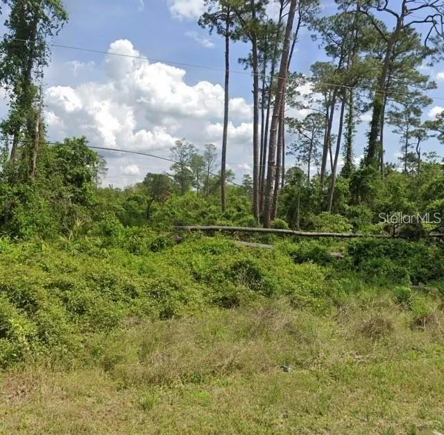 Daytona Park Estates listing