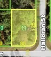 12614 Johannes Ave, FL
