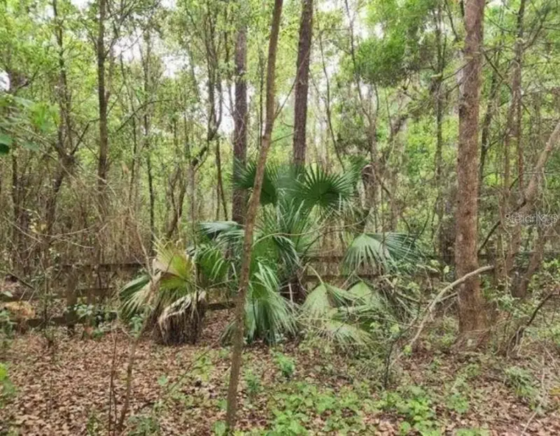 15363 Se 156th Place Rd, FL