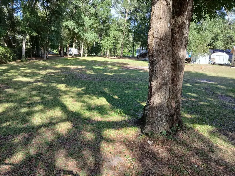 Water Oak Ln, FL