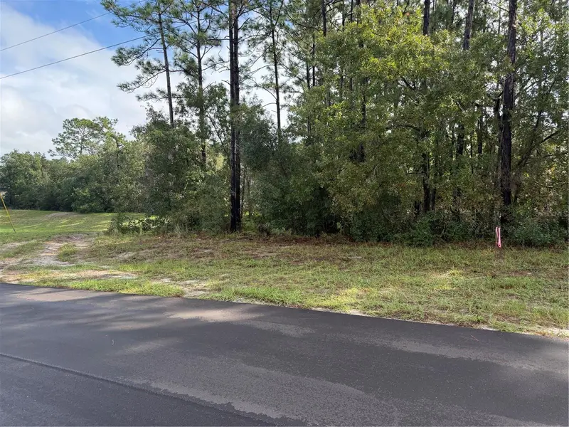 Tbd Sw 139th Lane Road #12, FL