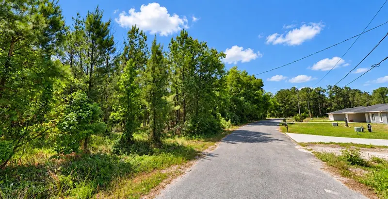 Silver Springs Shores listing