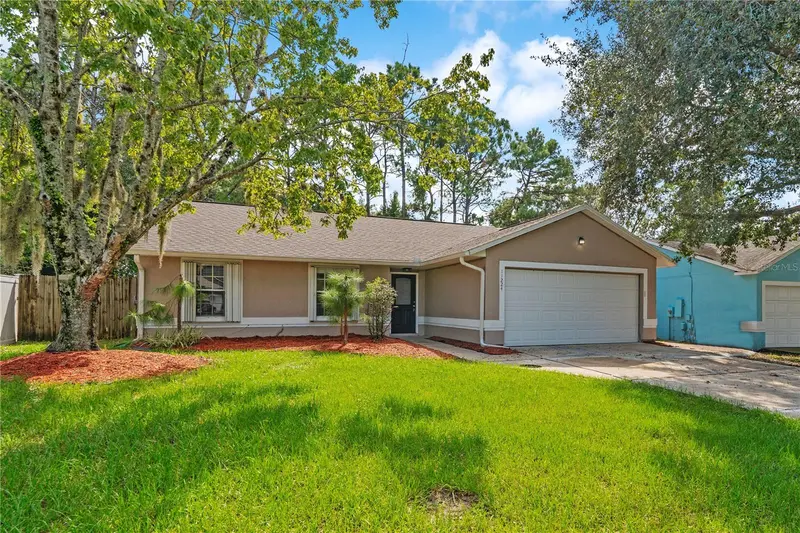 11224 Cypress Leaf Dr, FL