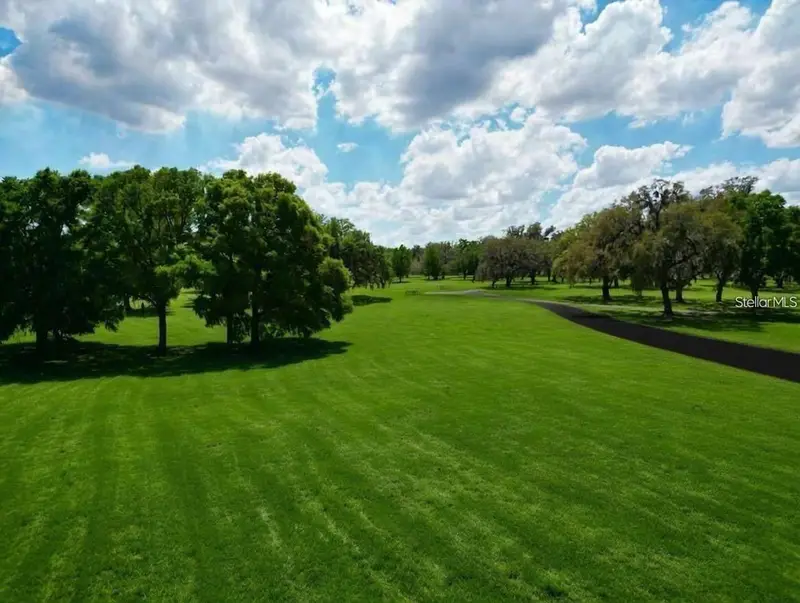 Belleview listing
