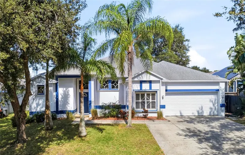 1187 Blackrush Dr, FL