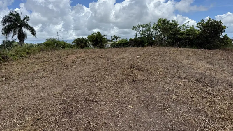 Bo Tejas Carr 908 Km 8 H 0 Int Sector Los Abreu, PR