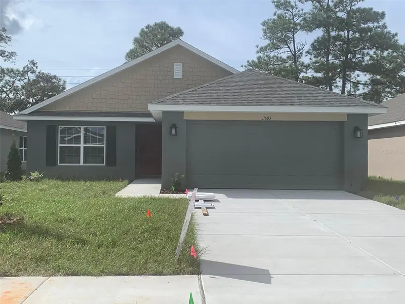 11603 Grace Rd, FL