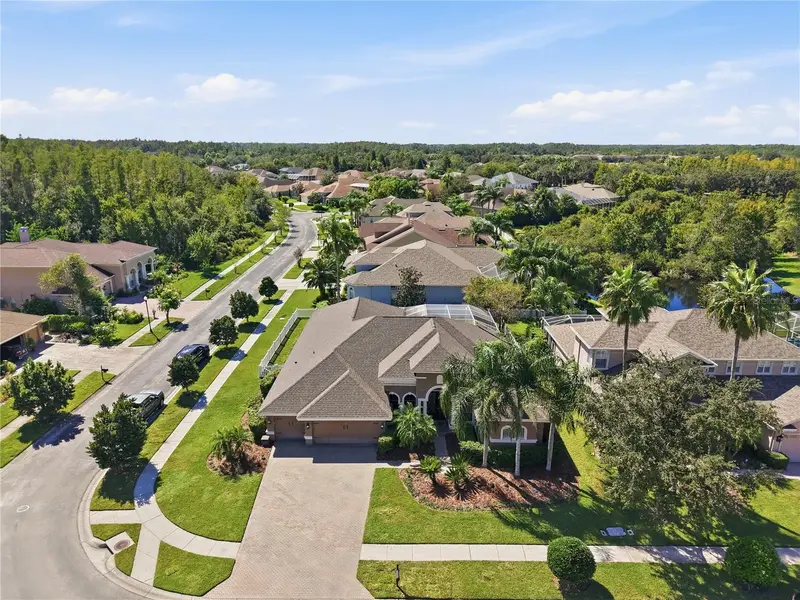 3905 Sorrel Vine Dr, FL