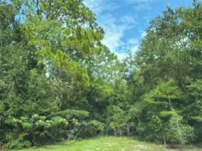 Unassigned, FL