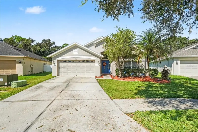 6805 Bluff Meadow Ct, FL
