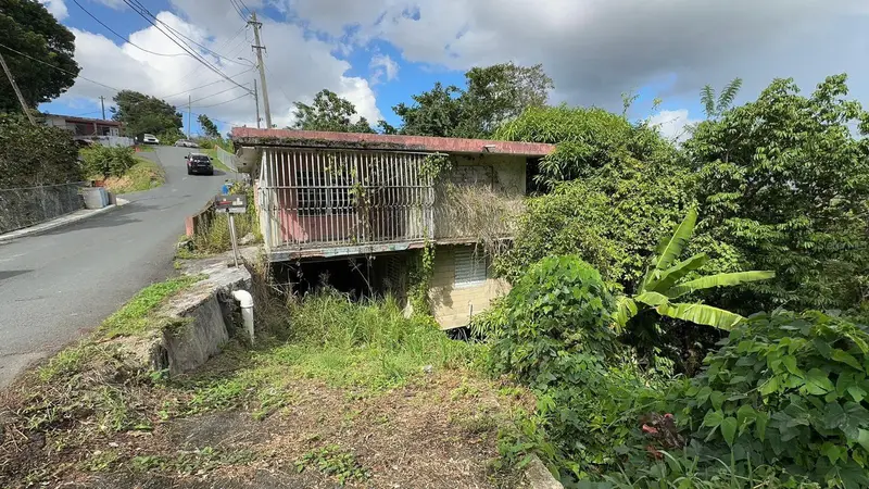 Pr. 813 Km 2.1 Bo. Nuevo, PR