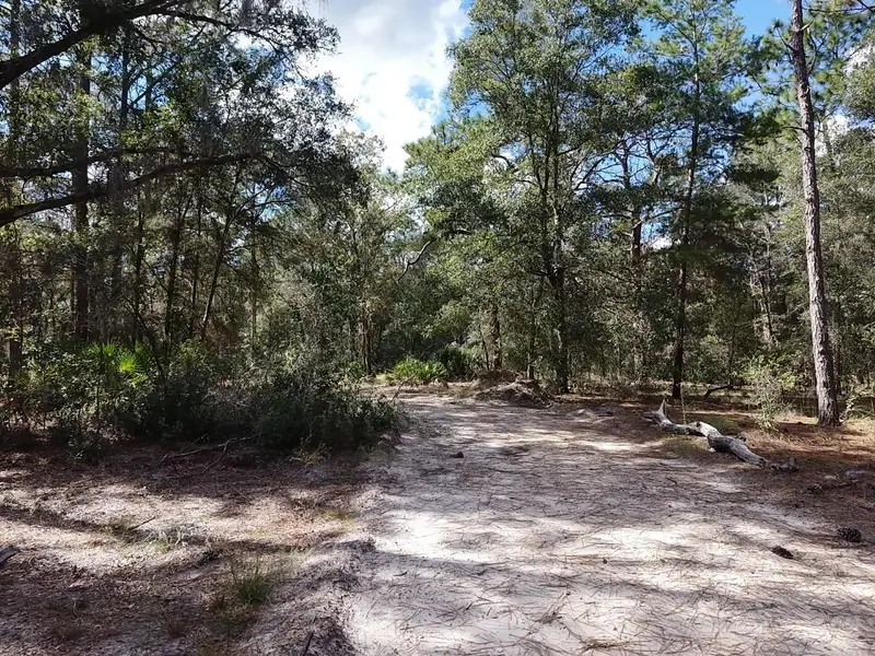 7416 N Nathan Pt, FL