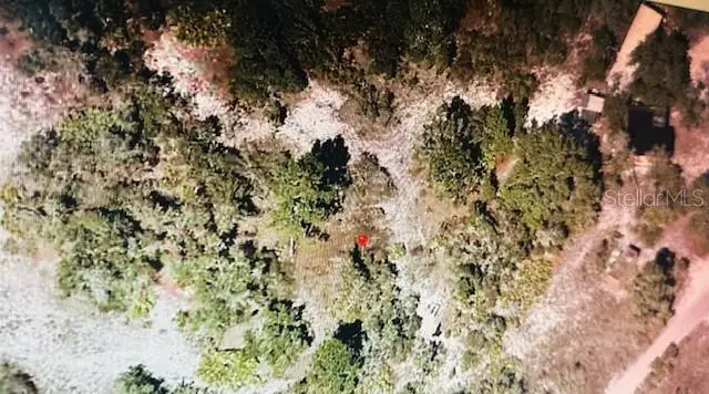 Holopaw Groves Rd, FL