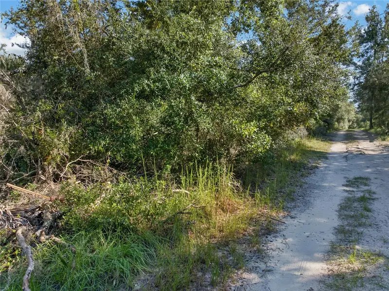 431 Wilburton Dr, FL