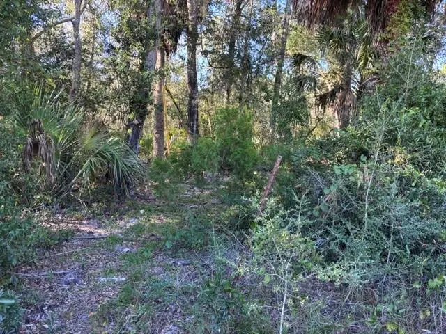 7450 Sw State Road 24, FL