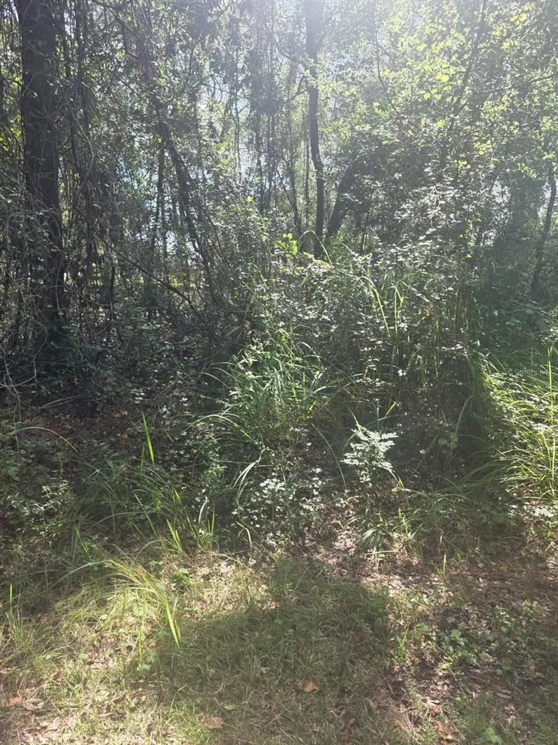 Tbd Se 136th Ln, FL
